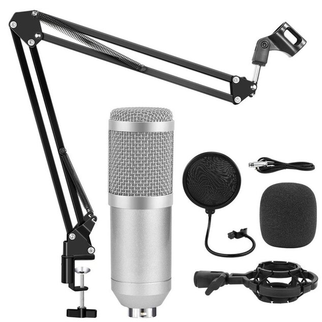 Микрофон студийный конденсаторный BM 800 с подставкой Серебряный (1)