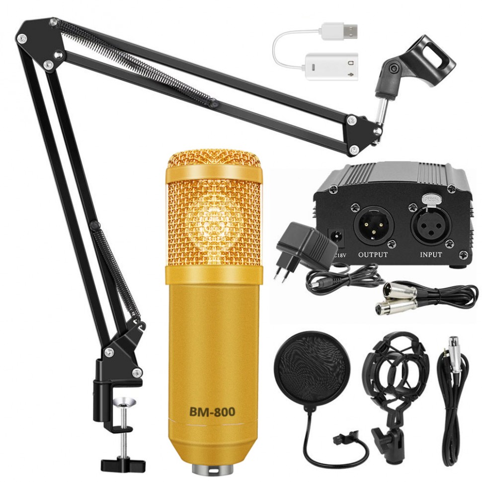 Комплект: конденсаторный микрофон BM800 (золотой), фантомное питание, кабель XLR, подставка