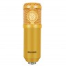 Комплект: конденсаторный микрофон BM800 (золотой), фантомное питание, кабель XLR, подставка