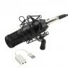 Комплект: конденсаторный микрофон BM800 (черный), фантомное питание, кабель XLR, подставка