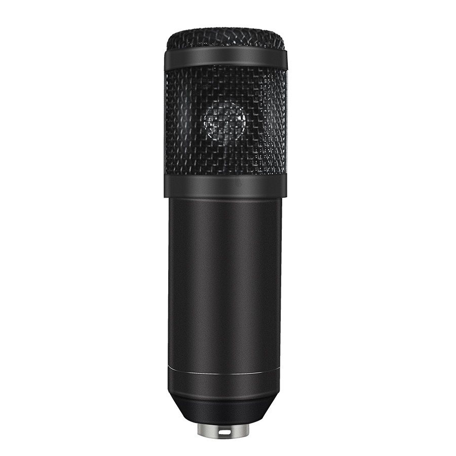 Комплект: конденсаторный микрофон BM800 (черный), фантомное питание, кабель XLR, подставка
