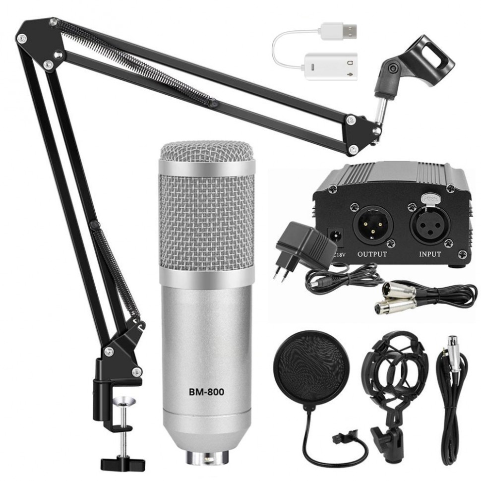 Комплект: конденсаторный микрофон BM800 (серебряный), фантомное питание, кабель XLR, подставка