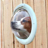 Обзорное окно в заборе для собаки  (5)