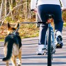 Велосипедный поводок для собак, эластичный с амортизатором