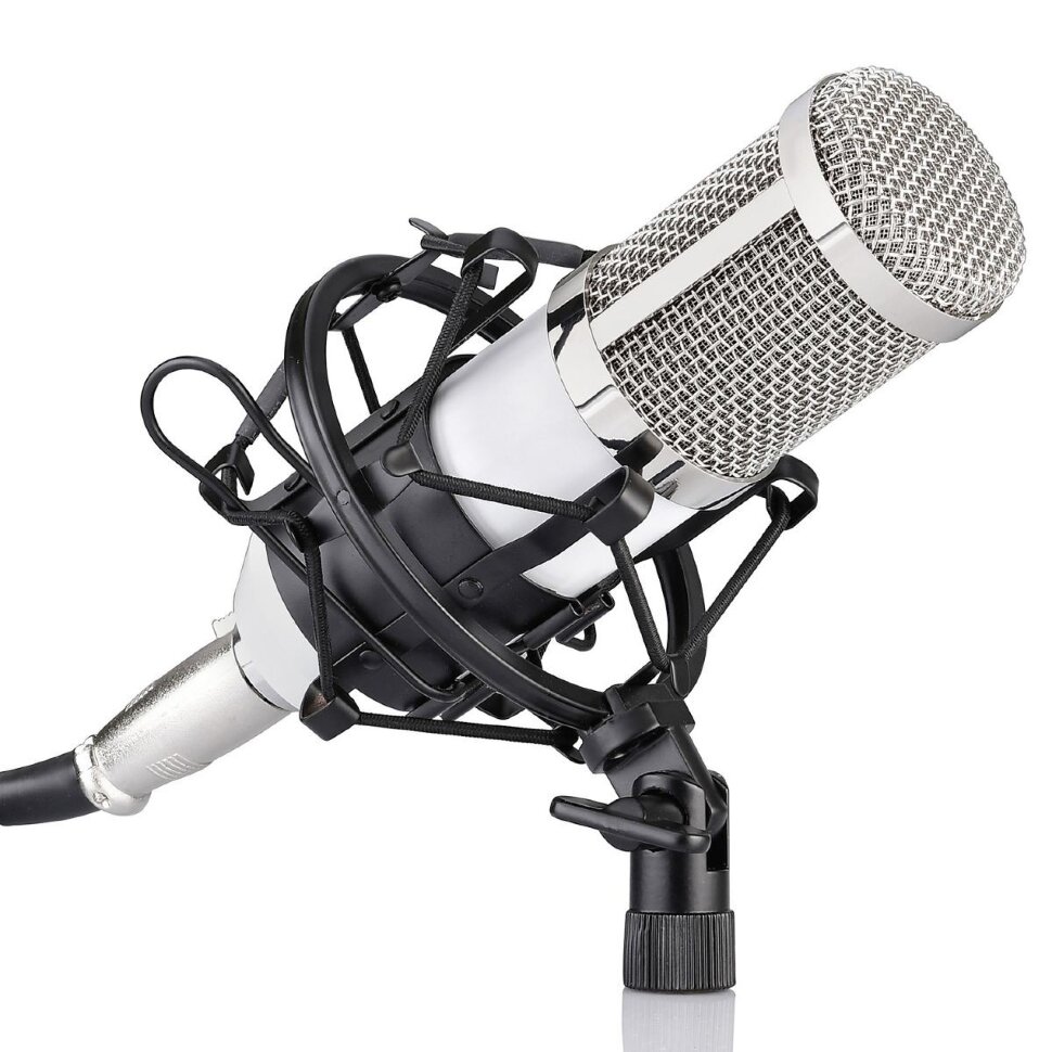 Микрофон студийный конденсаторный BM 800 (Alawrex AX-800) Белый, Серебряный (2)