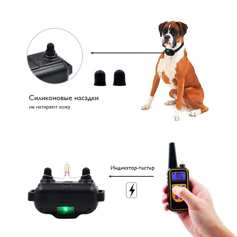 Дрессировочный электронный ошейник для собак 800м влагозащищенный  (2)