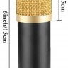Комплект: конденсаторный микрофон BM800 (черный, золотой), фантомное питание, кабель XLR, подставка