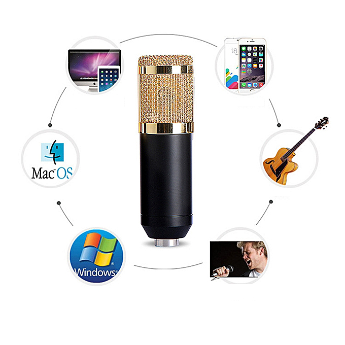Комплект: конденсаторный микрофон BM800 (черный, золотой), фантомное питание, кабель XLR, подставка